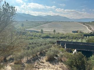 Fondo rustico in Gelida. Finca agrícola en venta