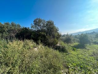 Rural plot in Gelida. Finca agrcola en venta