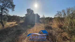 Finca rústica a Urbanización sector 1 342. Terreno 15.400 m2 hormigos río alberche.