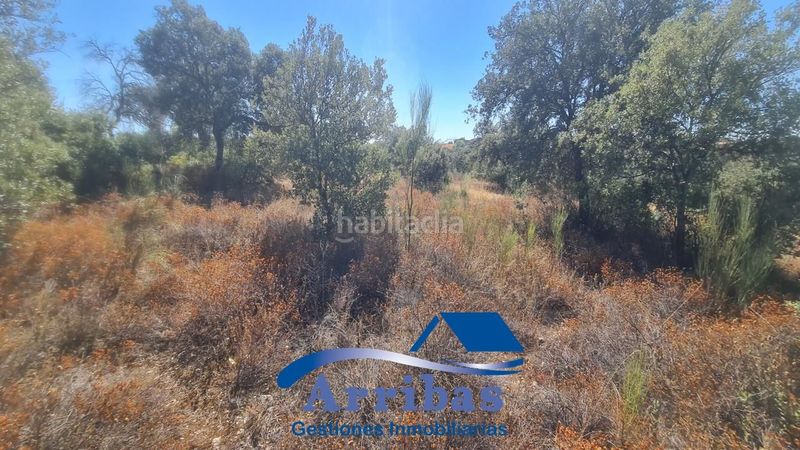 Foto 4906e1c3-4382-4378-89b5-167bd5087312. Landgut in n/a in Hormigos