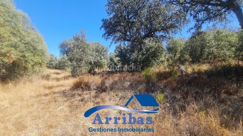 Foto 4fa761c5-5318-4eee-97e6-2e3e0e74ffe4. Landgut in n/a in Hormigos