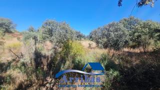 Rural plot in Urbanizacion soto alberche 32