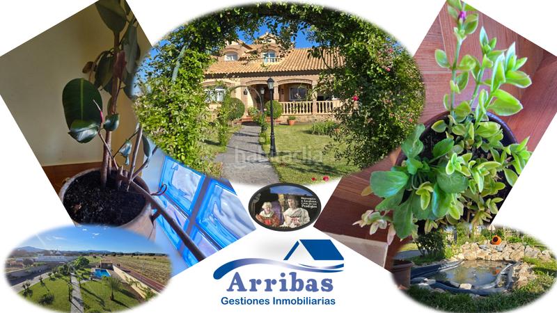 Foto 9c0bb545-3eef-46df-8fb4-244f47e96514. Xalet amb calefacció aparcament piscina a Escalona