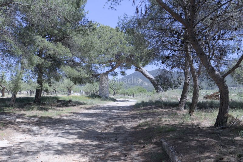 Foto 6907e965-ca84-4b81-ab7e-99d9c2ad8e5e. Xalet amb aparcament a Xixona
