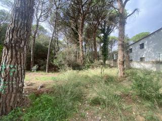 Terreny residencial a Mas Pere-Río de Oro. Parcela plana en la urbanización mas pere de calonge