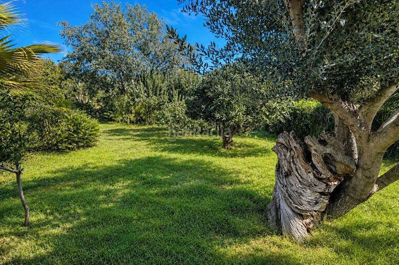 Foto a51c6d39-b40e-4c36-b33c-6aee8ea454b0. Casa amb calefacció piscina a Mas Pere-Río de Oro Calonge