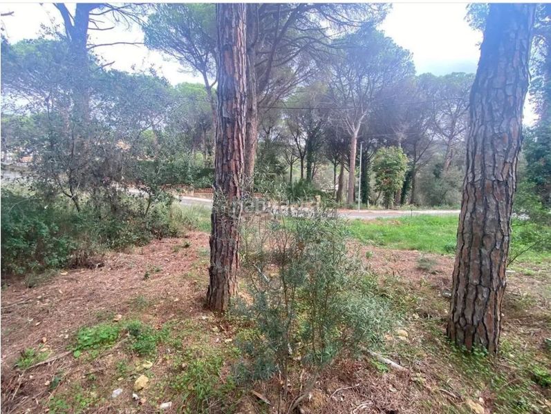 Foto f362ba7e-6e06-4a54-84ab-0fe71ac6dace. Casa amb calefacció a Mas Pere-Río de Oro Calonge