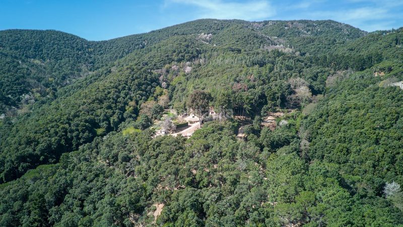 Foto a84c3955-908f-4faf-b2be-e87de513b313. Masia amb calefacció aparcament piscina a Niàgara Parc -Àgora Parc Tordera