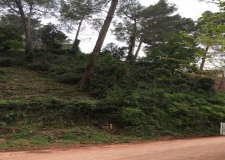 Finca rústica a Emili vendrell sr 4. Se vende finca rústica en calle emili vendrell 4 de cervelló bar
