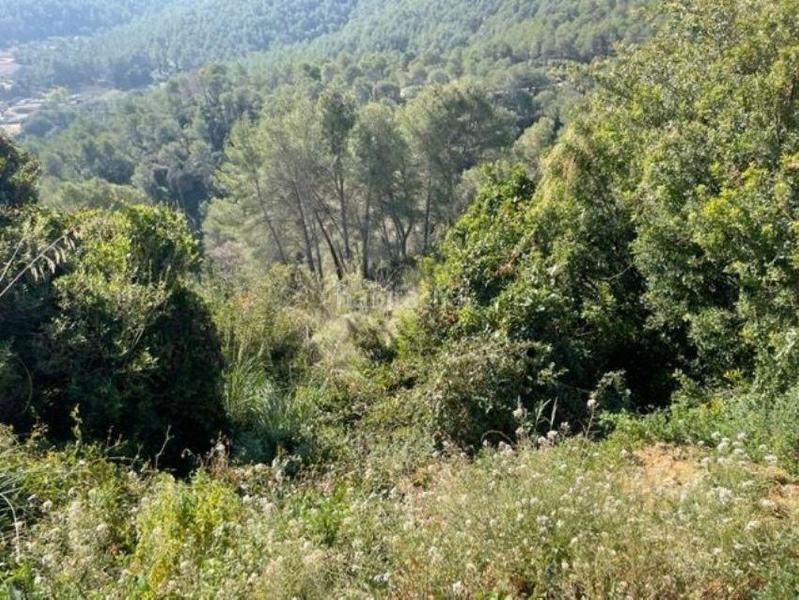 Foto 895836da-77bb-461b-9f56-1c1805353c28. Terreno residencial suelo urbanizable en Vallirana