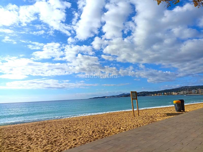 Foto f228ea85-a38e-48b1-ae9c-56a5a7606ba8. Àtic amb calefacció aparcament a Avinguda Catalunya Palamós