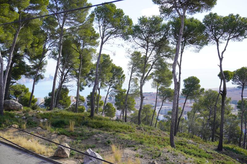 Foto 0ba77437-dfd5-41fb-ad8b-85733960c1a6. Casa con riscaldamento parcheggio in l´Estartit poble Estartit