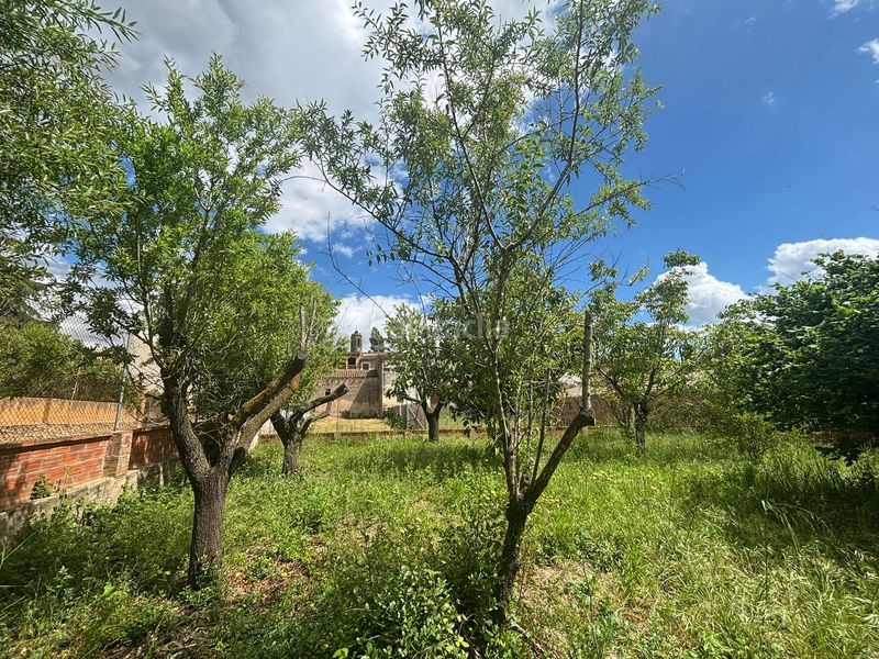 Foto 96d8b27a-653a-4436-b5b2-6e8dbef980ed. Terreny residencial a Colomers