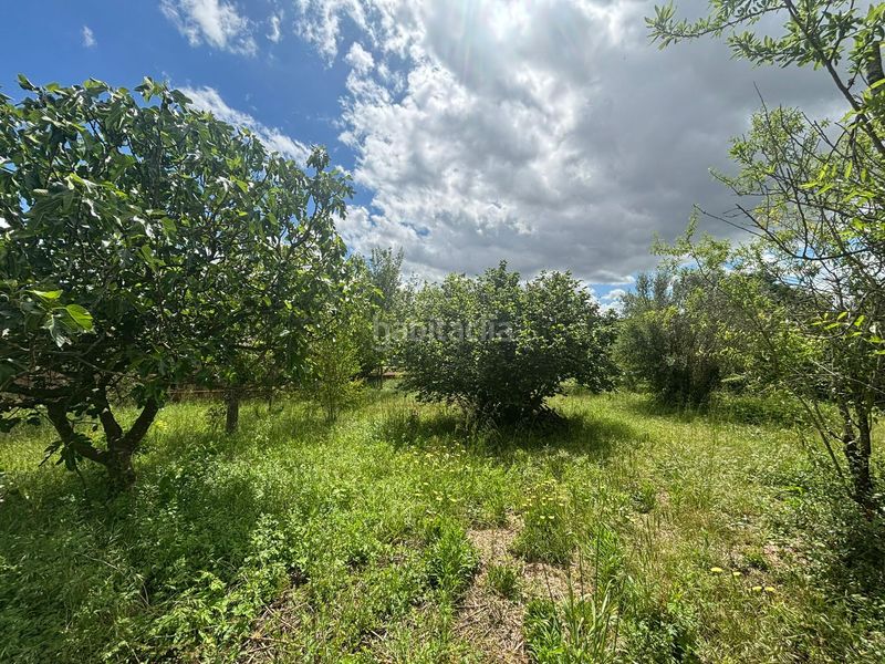 Foto e7a2b492-cb6a-461f-a595-8752e785dff5. Terreny residencial a Colomers