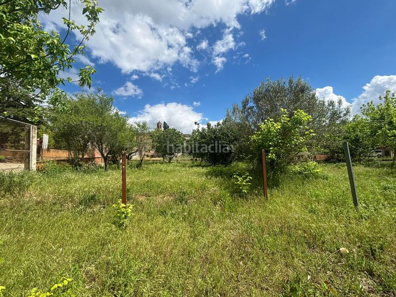 Foto ff0bbfc0-dd49-4df1-9762-5c1ebbb5642c. Terreny residencial a Colomers
