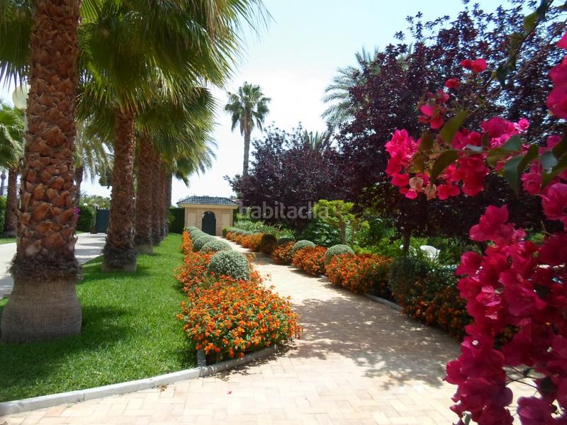 Foto 2b9a2f00-ec15-404d-b314-9897db2b4af9. Chalet mit heizung parking pool in La Portalada Elche / Elx