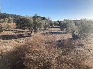 Propriété  Cv-814. Terreno en venta en villena. excelente situación.
