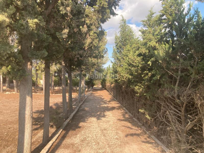 Foto 86ff297d-c088-402f-8c01-4c44af38d89b. Chalet  en venta en Las Tiesas Villena