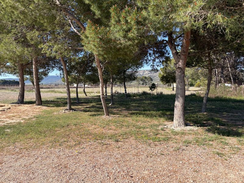 Foto 88ad7653-af69-4210-a5f9-61f89298dd40. Casa amb xemeneia a Las Virtudes Villena