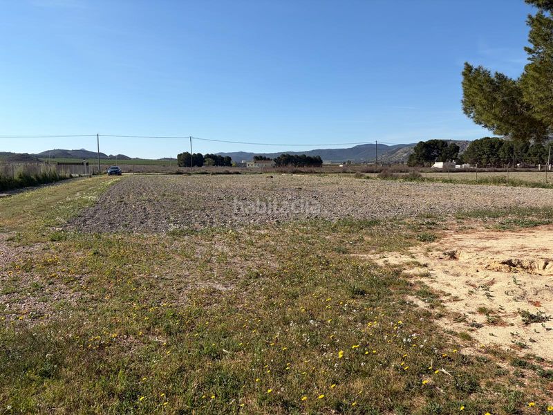 Foto d422e9b0-d515-4efd-972d-5db01e986016. Casa amb xemeneia a Las Virtudes Villena