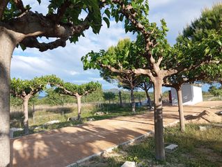 Miete Bauernhof in Las Tiesas. Finca rustica alquiler muy cerca de villena.