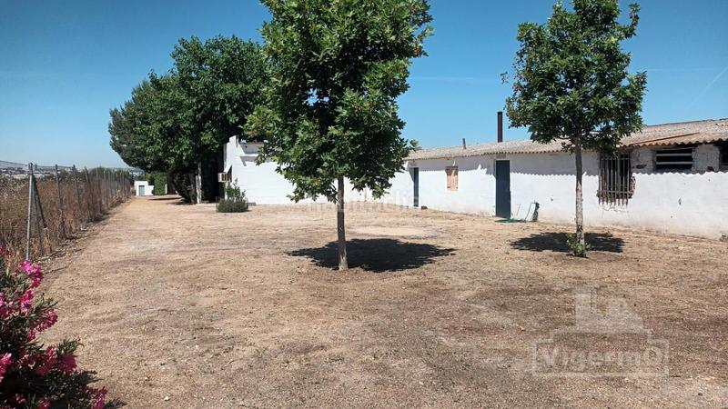 Foto 580ab6ea-a2aa-4d2b-a5b4-8df453b9d93c. Finca rústica en madrid en Montserrat-Parque Empresarial San Fernando de Henares