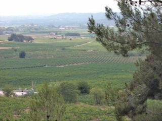 Terreny residencial a Torrelles de Foix. Parcela en venta en torrelles de foix