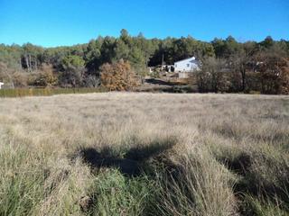 Terreny residencial a Montmell (El). Parcela en venta en el montmell