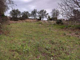 Terreny residencial a Torrelles de Foix. Parcela en urbanización de montaña