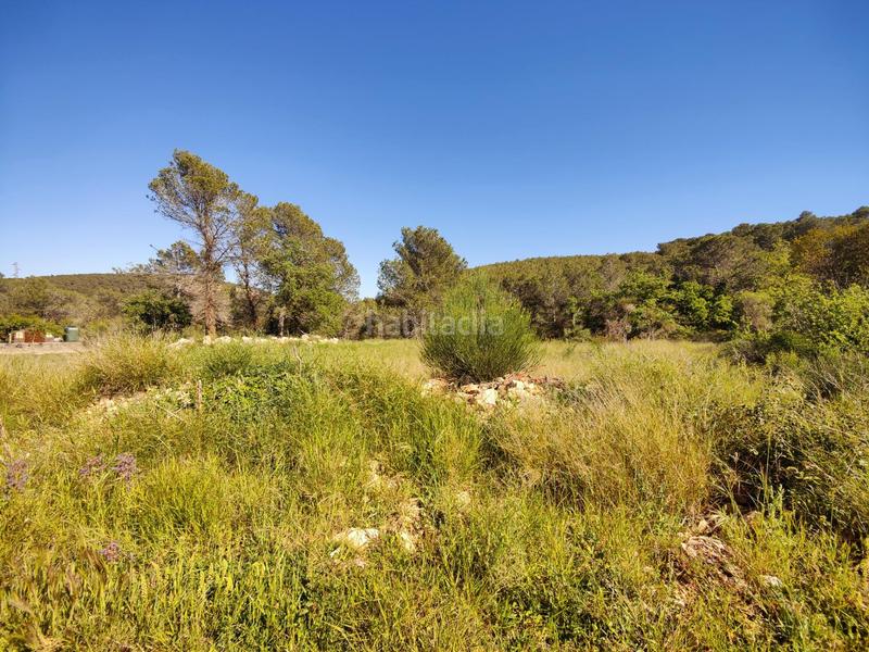 Foto 03a30b03-5954-4d9e-a62d-0c0156690601. Terreno residenziale in Font-rubí