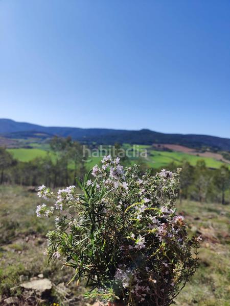 Foto e09081e3-1074-46ae-ab0b-f795a9bb7d55. Terreno residenziale in Font-rubí