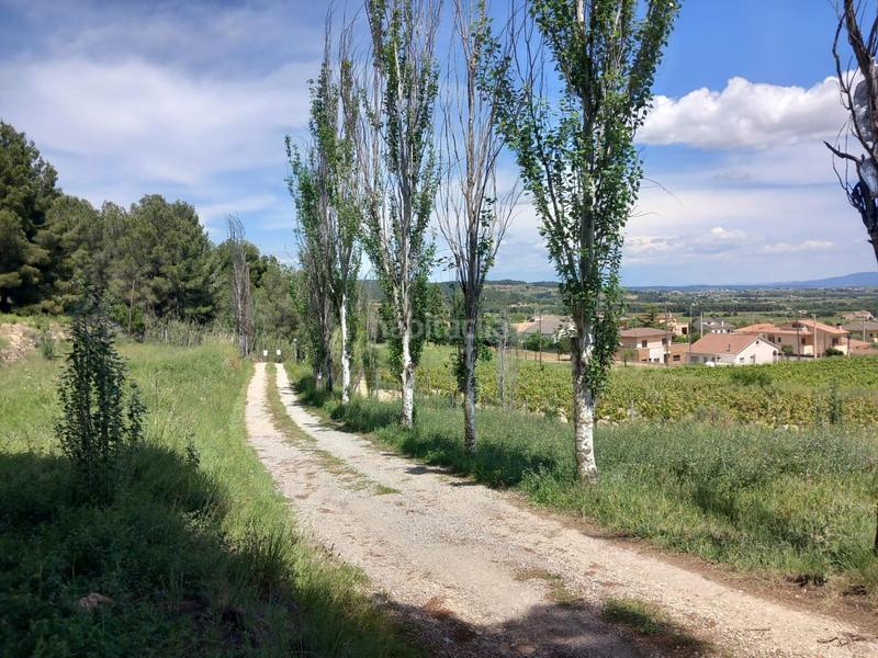Foto 900ca3a1-4f51-402a-ac03-39eeaab861a1. Casa  a 4 vientos en terreno de 1.980m en Torrelles de Foix