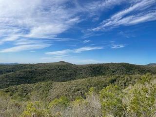 Terreny residencial a Montmell (El). Finca rustica en el montmell tarragona