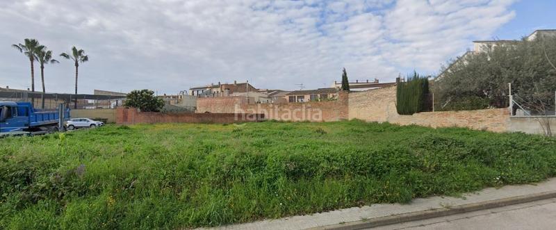 Foto 5564eaad-95e9-4d03-aab4-e2cd4092a972. Terreno residenziale in Puigdàlber