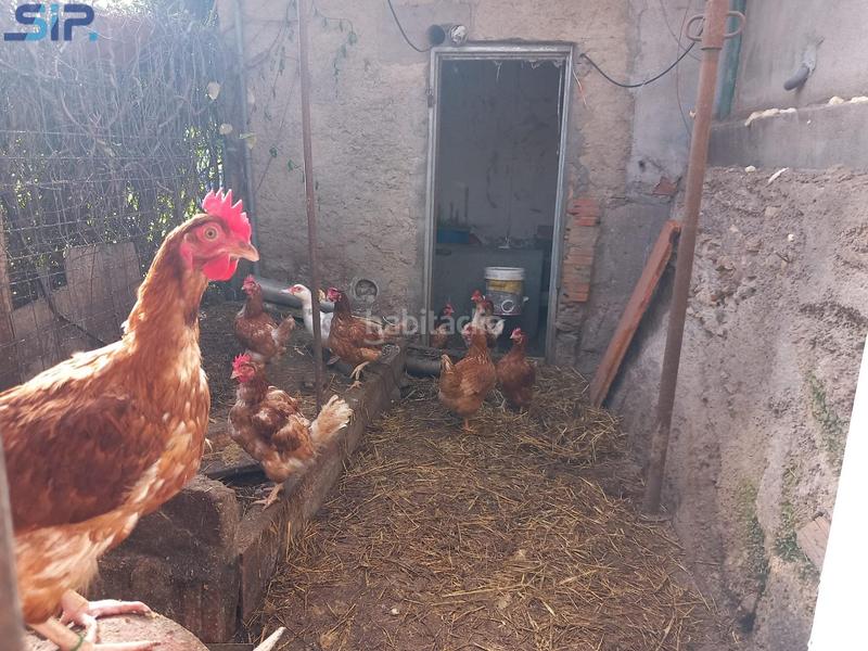 Foto 73da5758-6d5c-4ec4-addf-2a04bac1abca. Casa con riscaldamento piscina in Pontons