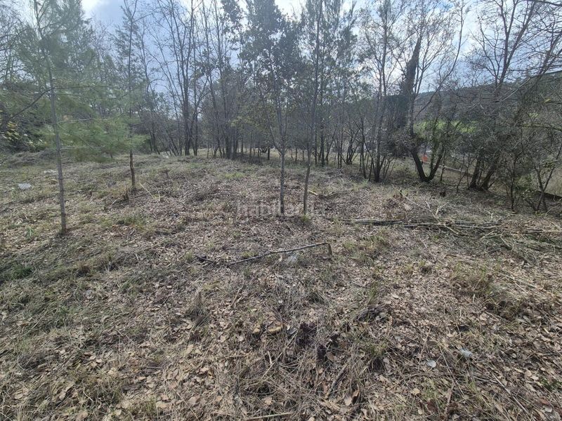Foto 1a157bbf-900d-4d7d-8aa9-ef24b4a08cdc. Terreno residencial en plaza de les parquinsonies 14 2 parcelas terreno en aiguamurcia urb manantials tarragona en Aiguamúrcia