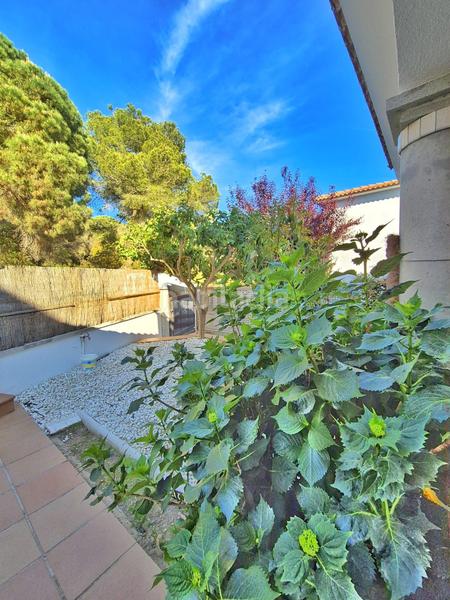 Foto ef91fa3e-72b4-49fa-b428-f441384ebc30. Casa amb calefacció piscina a Lloret Verd - Els Pinars Lloret de Mar