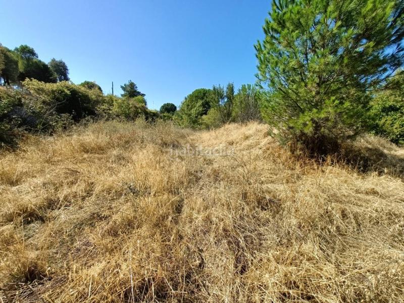 Foto 380a1f5e-8703-4370-a505-21582e84e217. Terreno residencial gran oportunidad parcela urbana de 2.046 m madrid en Ribatejada