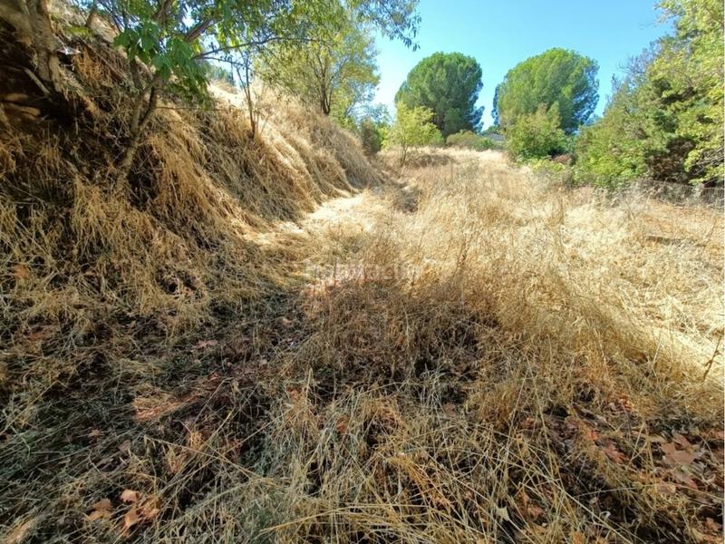 Foto b202fff3-94c2-40be-bd7a-a4fe8231622f. Terreno residencial gran oportunidad parcela urbana de 2.046 m madrid en Ribatejada