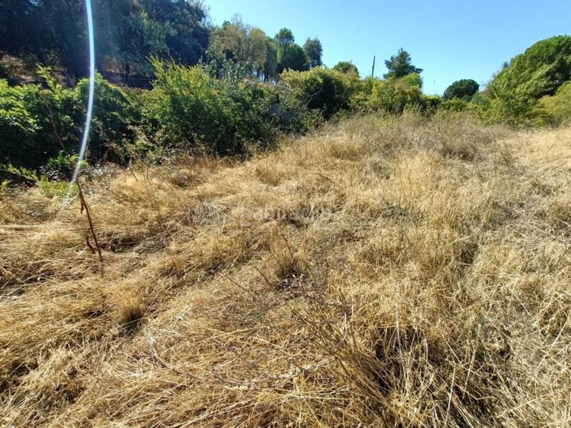 Foto 7ed6b753-ecfa-4a73-b8d9-0769355b8daa. Terreno residencial parcela en venta en Ribatejada