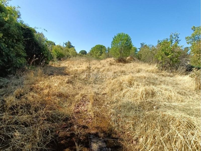Foto 8ab8c098-7889-47ce-bf67-a43f8b8c078f. Terreno residencial parcela en venta en Ribatejada