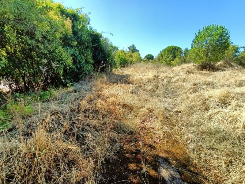 Foto a9f92795-1edf-4d24-869b-91f80108221a. Terreno residencial parcela en venta en Ribatejada