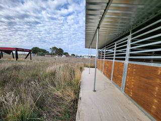 Fondo rustico  Alcantar. Oportunidad única para inversores y amantes del mundo ecuestre