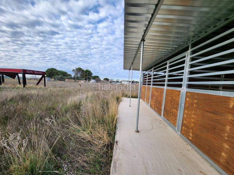 Foto 6dfc246f-5b62-4aef-ad07-dd13ac8cbad0. Propriété dans Fuente el Saz de Jarama