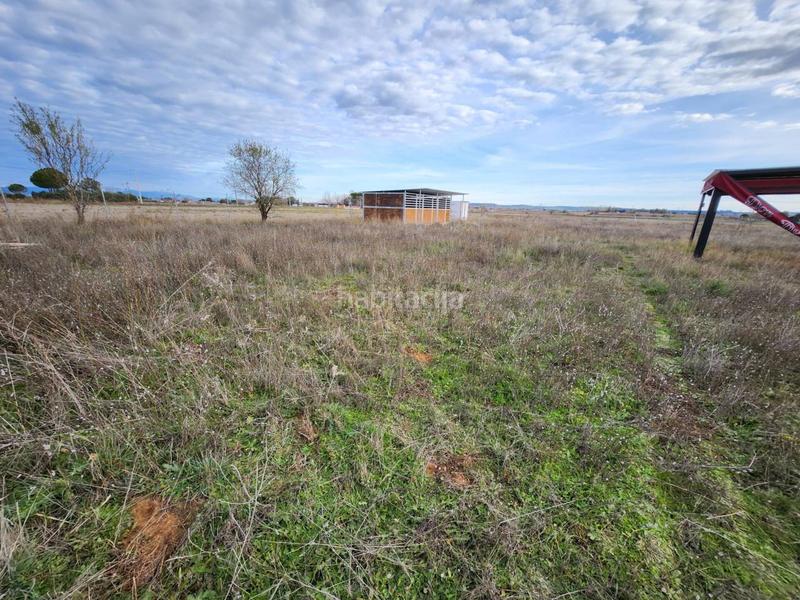 Foto 9eaa35a7-95ea-47d3-8be4-60a04cf222da. Propriété dans Fuente el Saz de Jarama