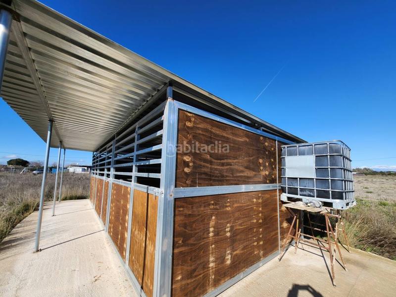 Foto ae7ad927-2bbd-43b7-96c6-825dbfef955b. Propriété dans Fuente el Saz de Jarama