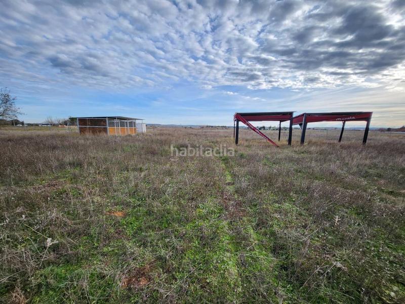 Foto b23ec052-e7f9-4aca-a106-d0911d17f7c6. Propriété dans Fuente el Saz de Jarama