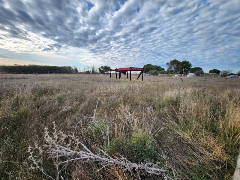 Foto f7bee0e6-bc02-41c0-9b12-169033bba41b. Propriété dans Fuente el Saz de Jarama