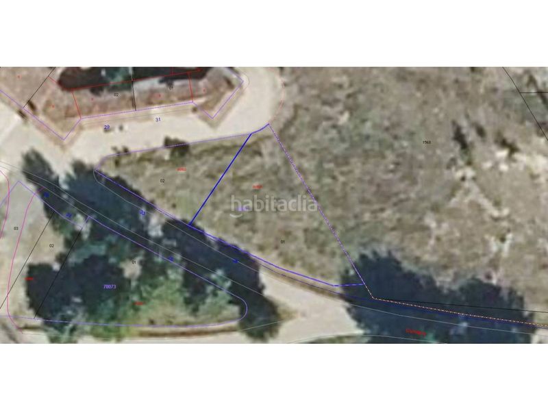 Foto 1dfbc28c-204c-4c18-bf18-e6ee6ddc0a26. Finca rústica a Cogolludo