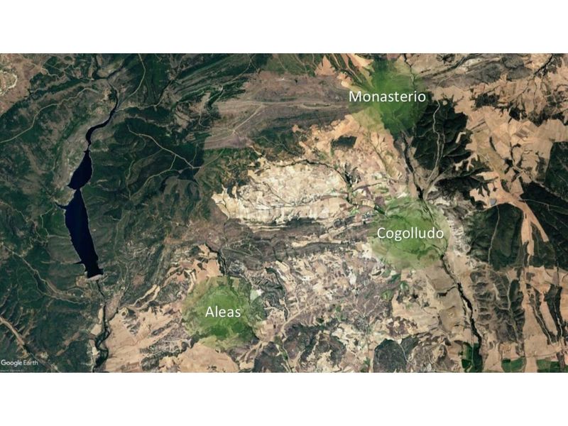 Foto 6ea94f93-a5a6-4689-82a3-a382cdfea78c. Finca rústica a Cogolludo